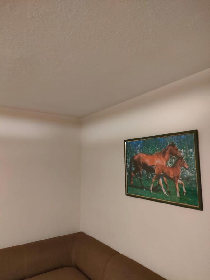 Apartament 6 osobowy Szklarska Poręba Zewnętrze zdjęcie